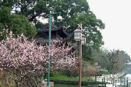 昆明黑龙潭公园