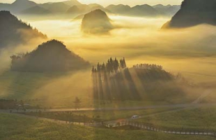 生物多样性