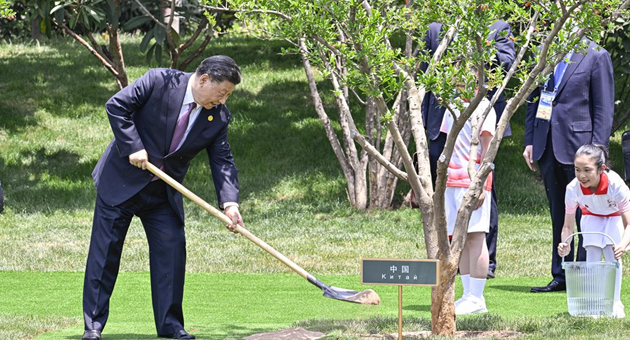 微信图片_20250616094752.png