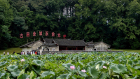 微信图片_20260605144737_1705_6.jpg