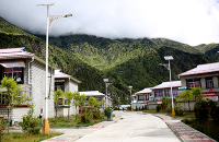 QG2A6950.jpg