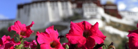 XxjpsgC000652_20150823_TPPFN1A001.jpg