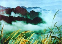 蓥华山 蓥华山