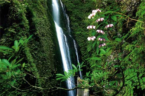 千佛山,位于安县、北川和茂汶三县交界处 千佛山,位于安县、北川和茂汶三县交界处