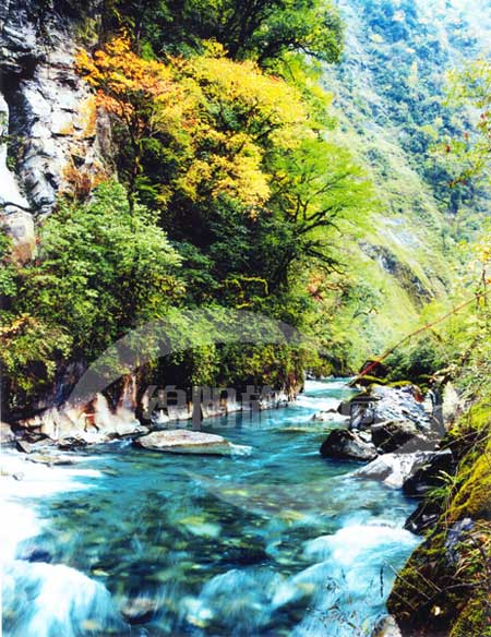 小寨子沟距北川县城93公里,距绵阳150余公里,景区面积360平方公里,是目前亚洲自然生态保存得最完好的地区,也是全球同纬度自然生态保存最好的地区 小寨子沟距北川县城93公里,距绵阳150余公里,景区面积360平方公里,是目前亚洲自然生态保存得最完好的地区,也是全球同纬度自然生态保存最好的地区