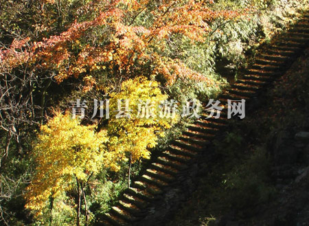 青川县唐家河自然保护区 青川县唐家河自然保护区
