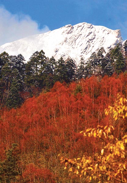 青川县唐家河红叶风景 青川县唐家河红叶风景