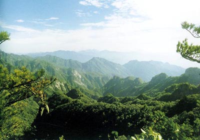 四川省宝顶自然保护区,地处岷山南麓中段,位于茂县富顺、永和、沟口三乡境内,距县城39公里。总面积19560公顷,是茂县大熊猫珍稀动物集中分布区和珍贵植物较多分布区。 四川省宝顶自然保护区,地处岷山南麓中段,位于茂县富顺、永和、沟口三乡境内,距县城39公里。总面积19560公顷,是茂县大熊猫珍稀动物集中分布区和珍贵植物较多分布区。